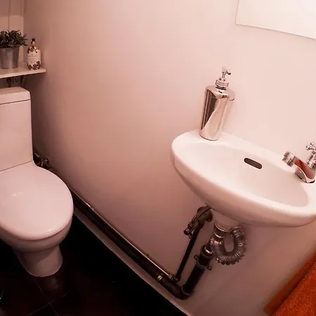 Apartament Triplex With Garage - Praca Flores