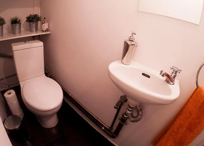 Apartament Triplex With Garage - Praca Flores